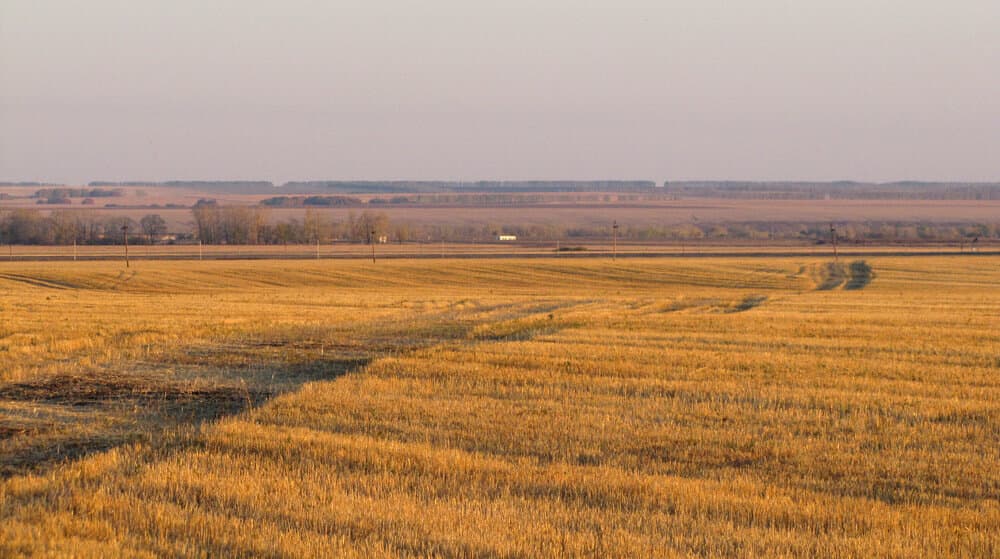 User profile banner