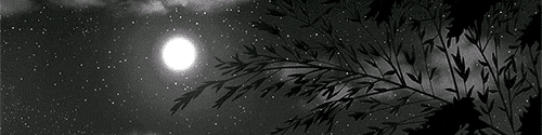 User profile banner