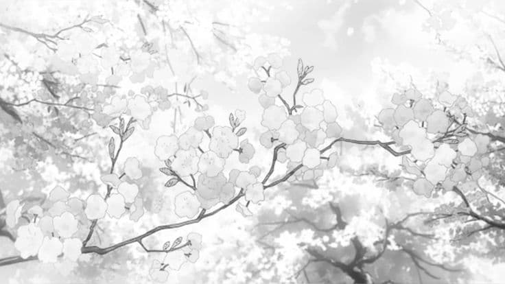 User profile banner