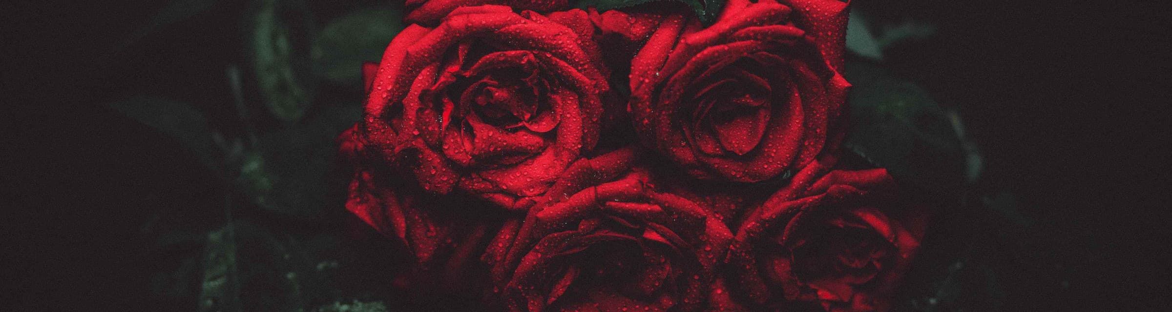 User profile banner