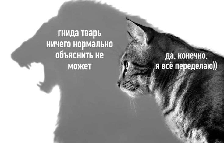 User profile banner