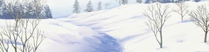 User profile banner