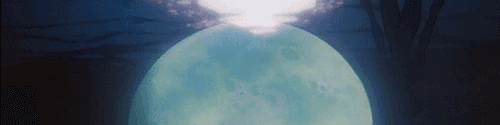 User profile banner