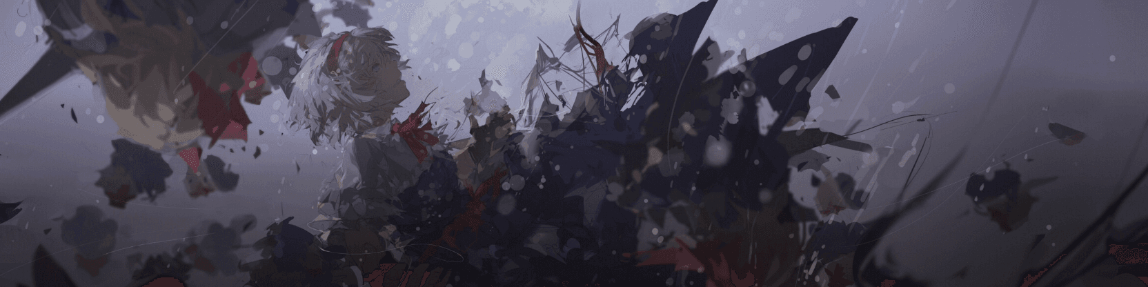 User profile banner