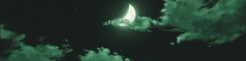 User profile banner