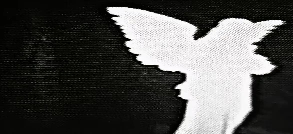 User profile banner