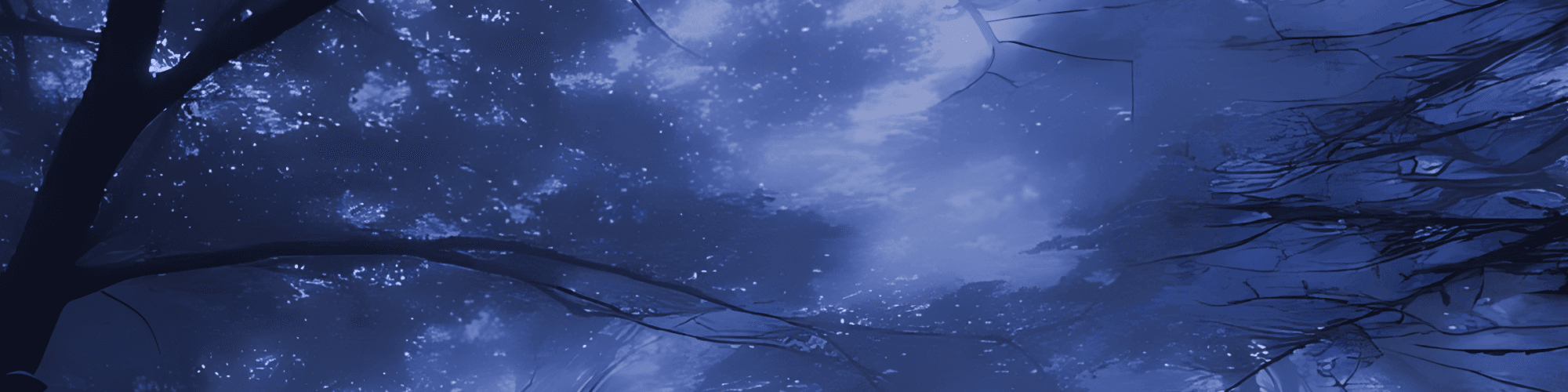 User profile banner