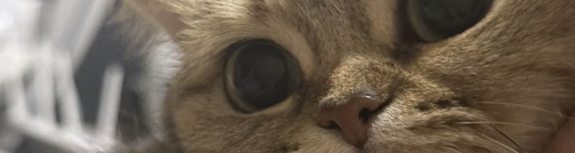 User profile banner