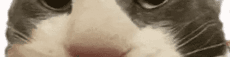 User profile banner