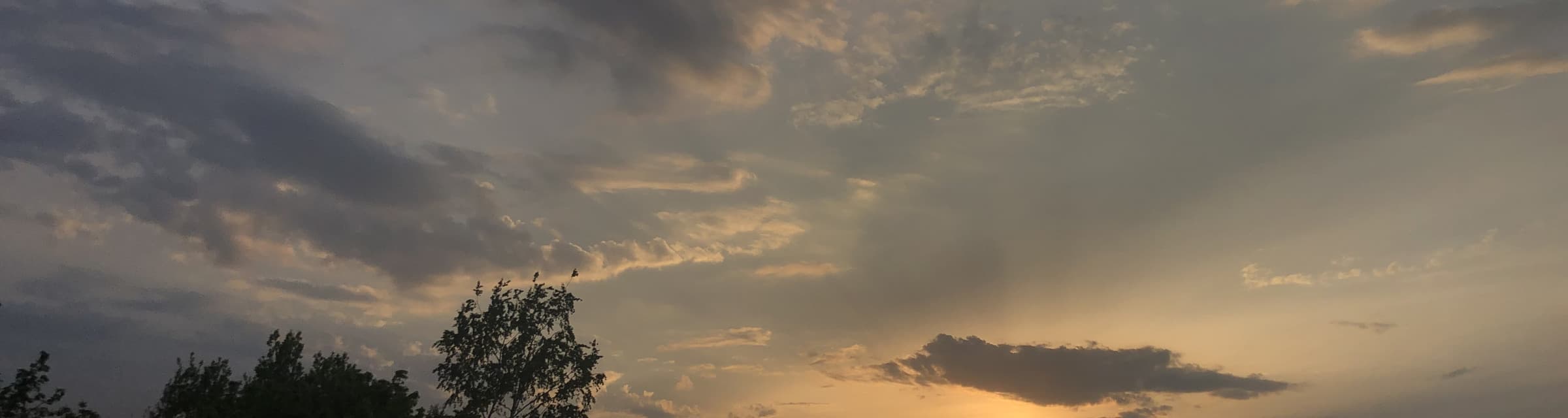 User profile banner
