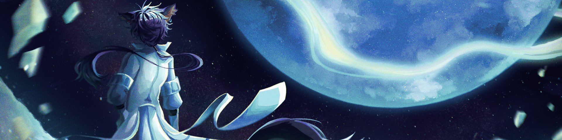 User profile banner