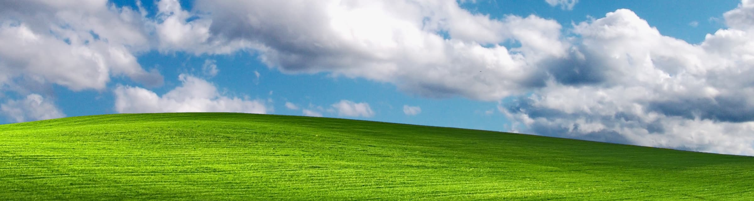 User profile banner
