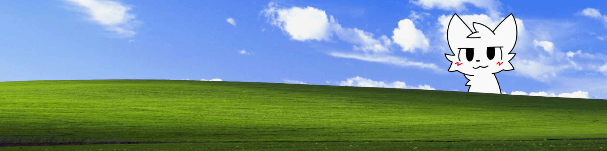 User profile banner