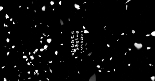User profile banner