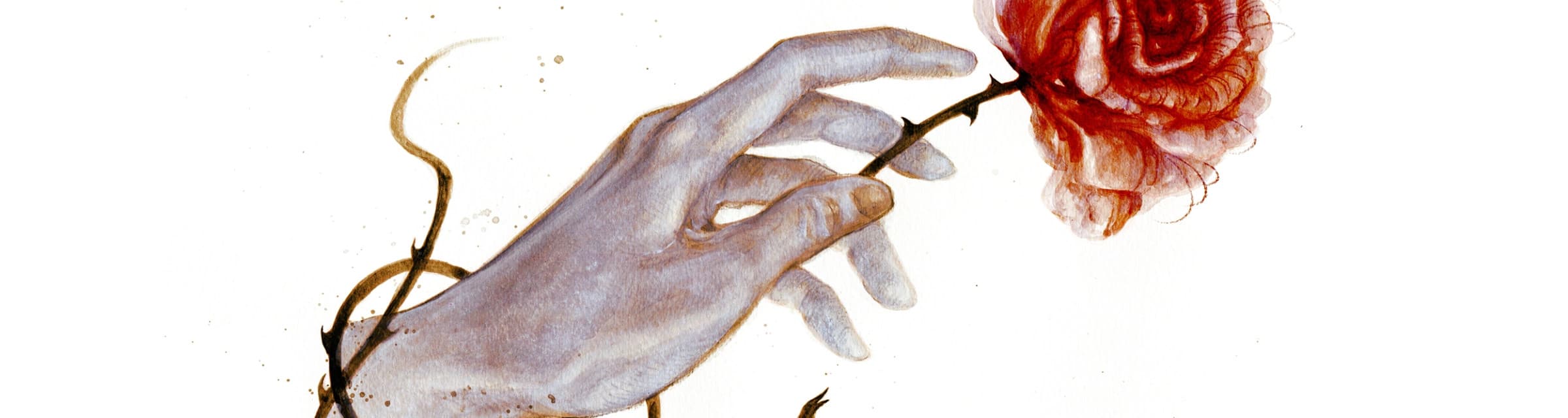 User profile banner