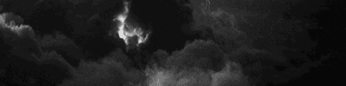 User profile banner