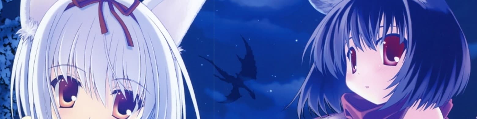 User profile banner