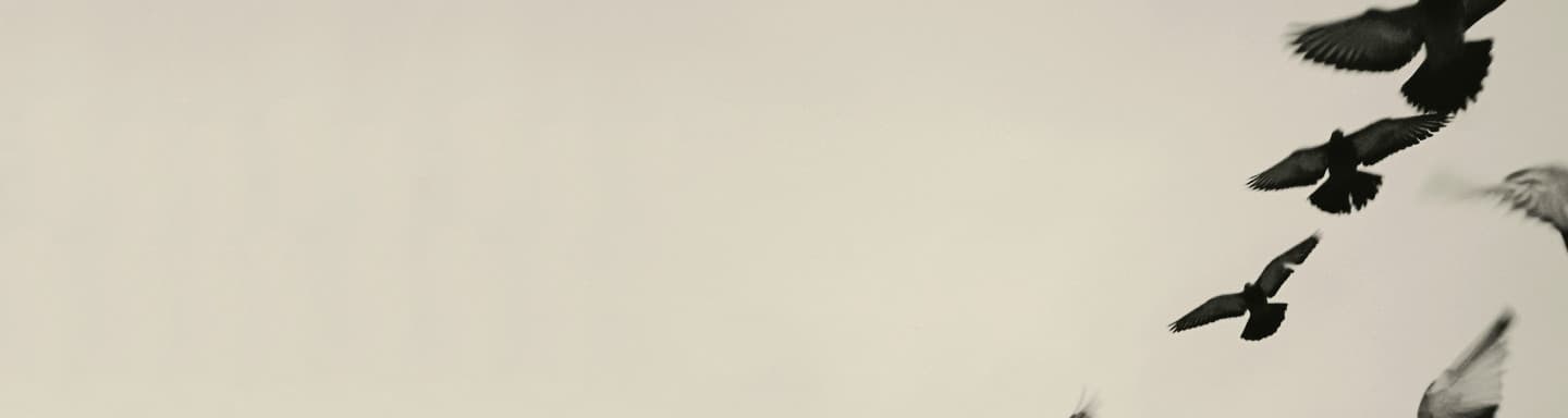 User profile banner