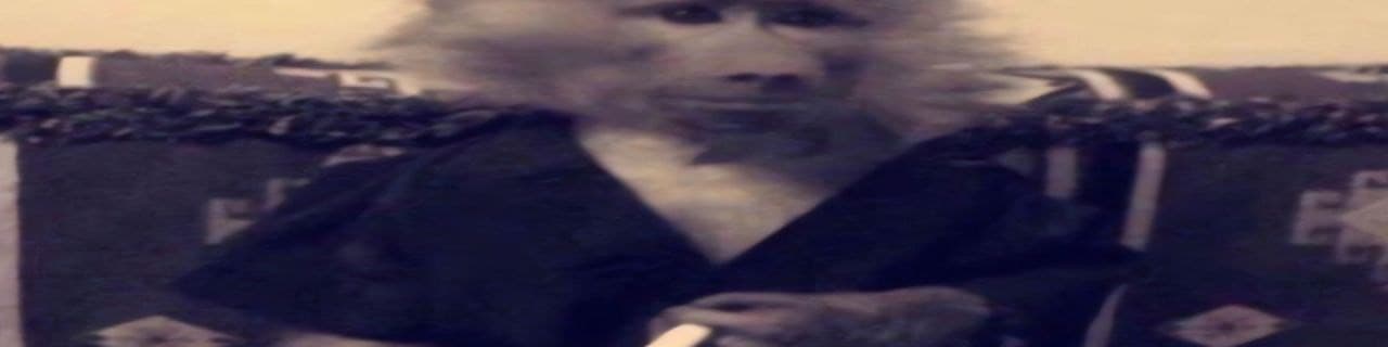 User profile banner