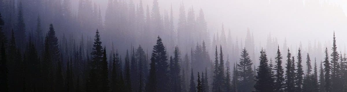 User profile banner