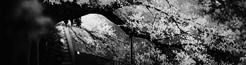 User profile banner