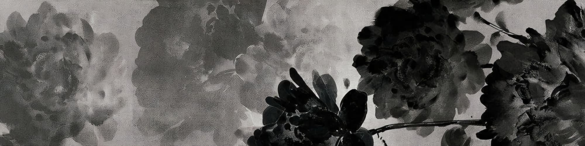 User profile banner