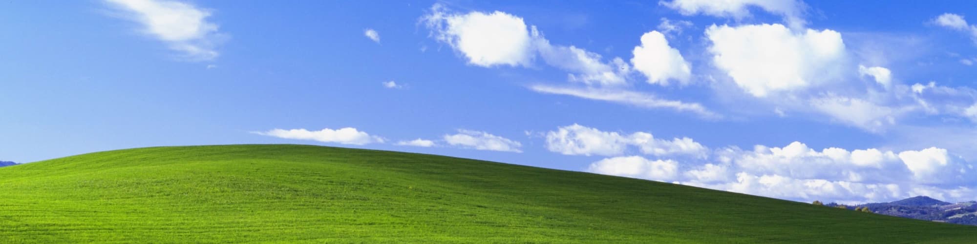 User profile banner