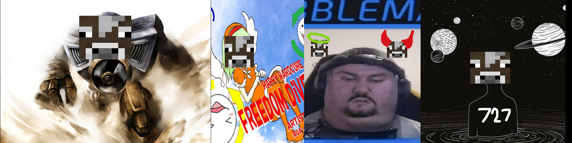 User profile banner