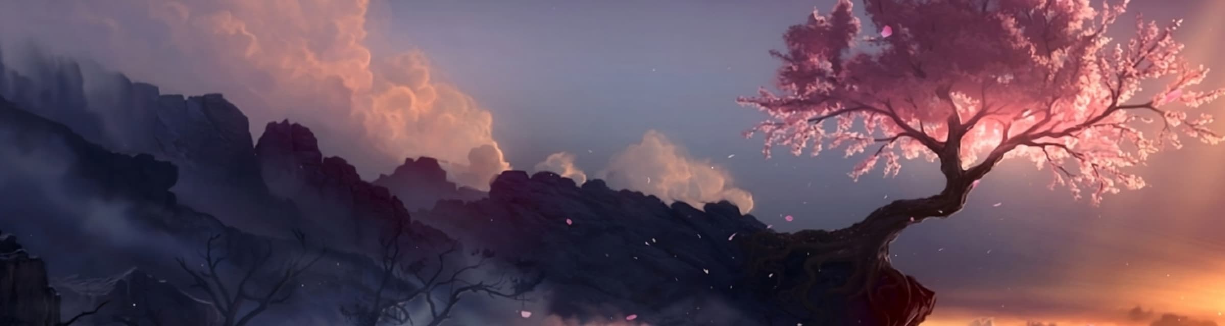 User profile banner