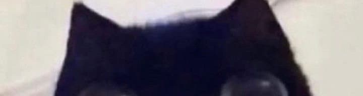 User profile banner
