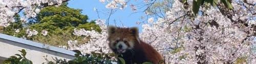 User profile banner
