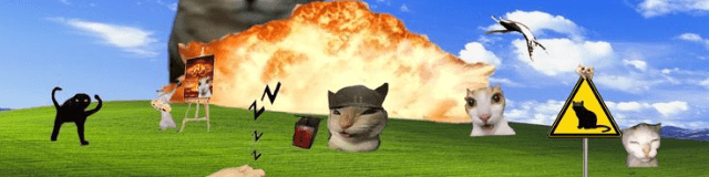 User profile banner