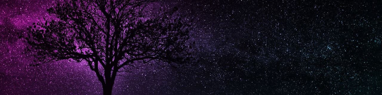 User profile banner