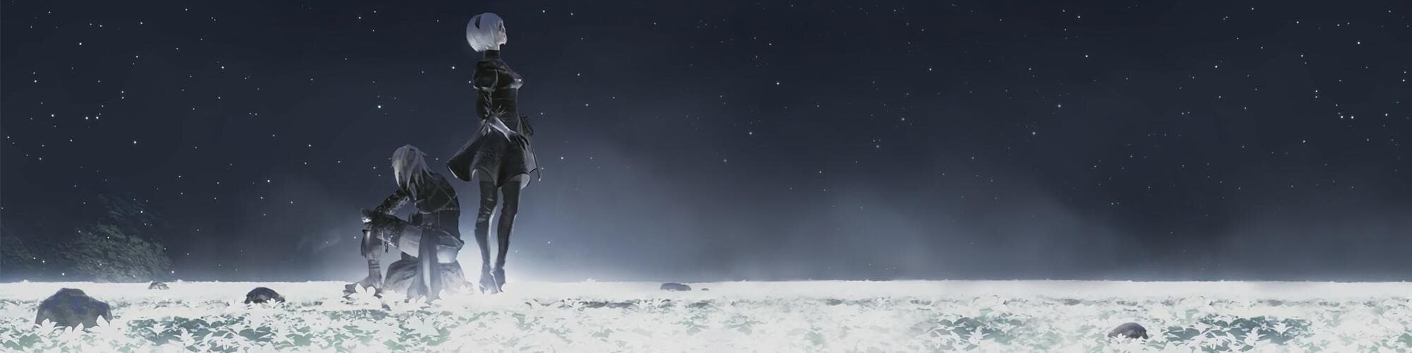 User profile banner