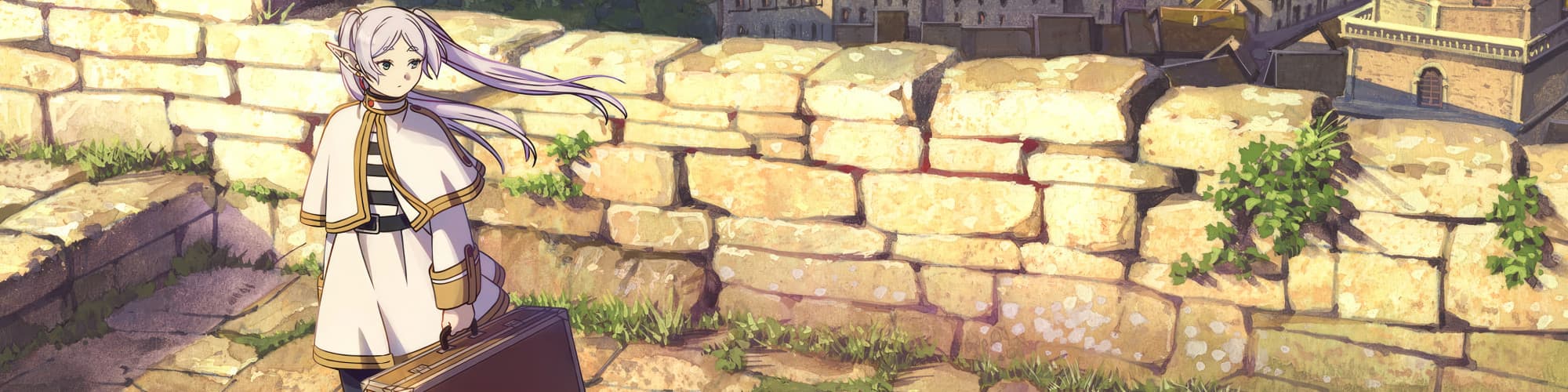 User profile banner