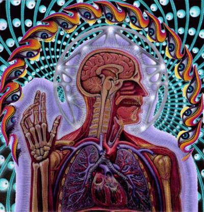 User profile banner