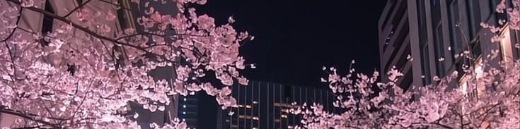 User profile banner