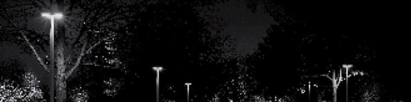 User profile banner