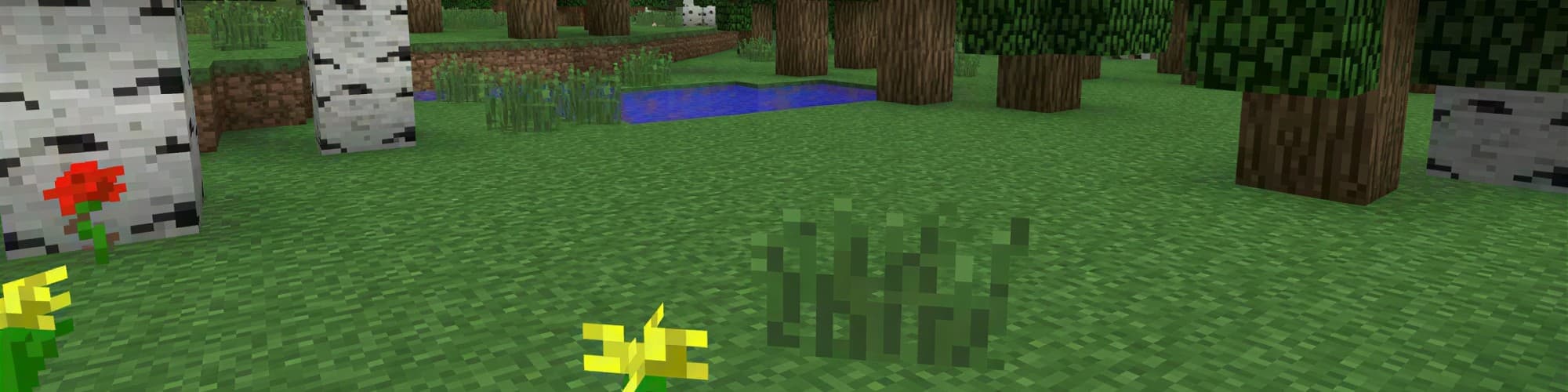 User profile banner