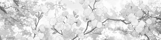 User profile banner