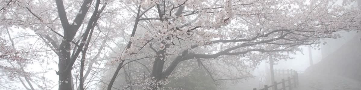 User profile banner
