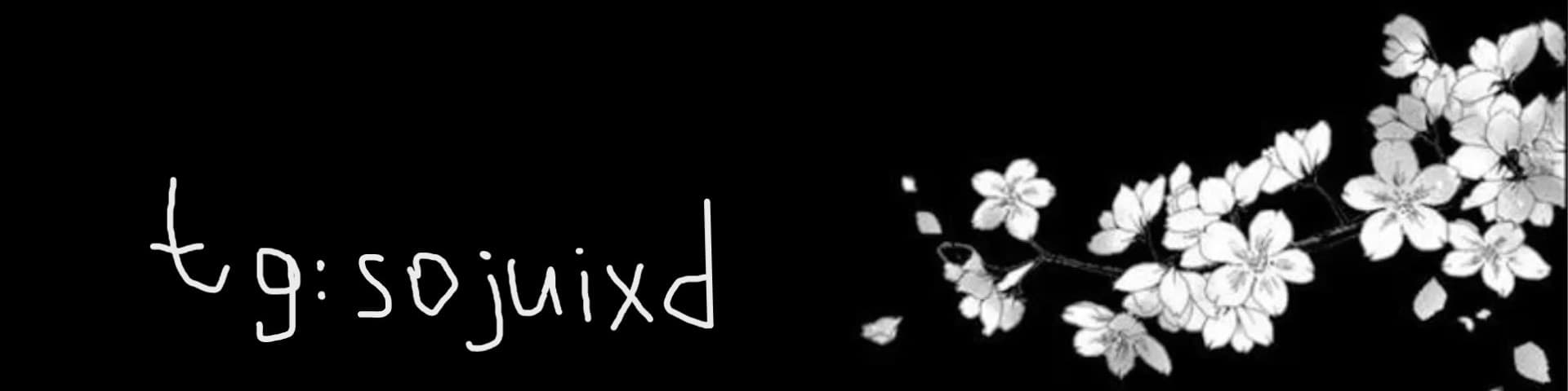 User profile banner
