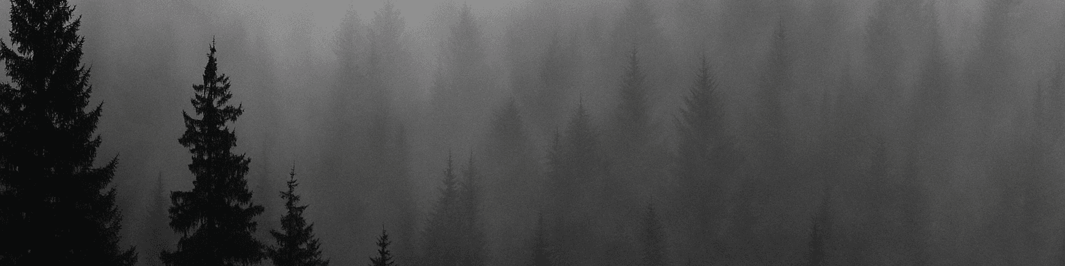 User profile banner