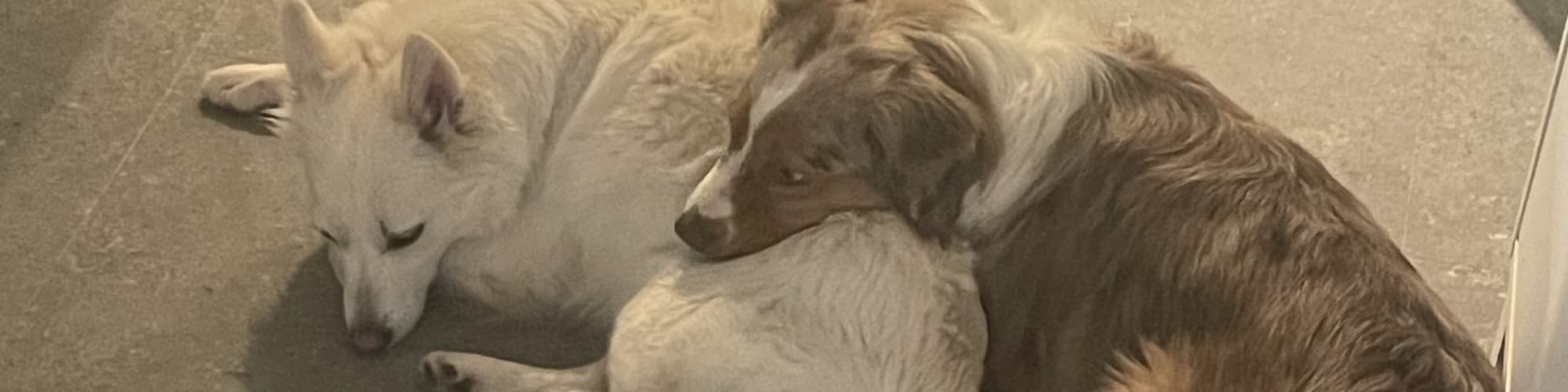 User profile banner