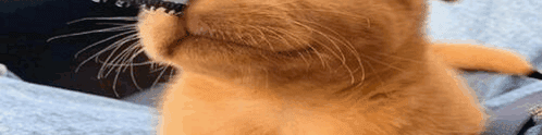 User profile banner