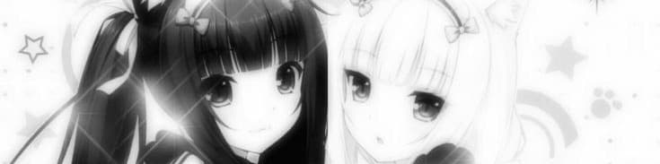 User profile banner