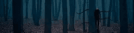 User profile banner