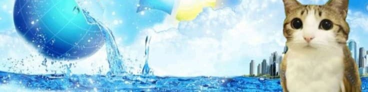 User profile banner