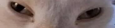 User profile banner