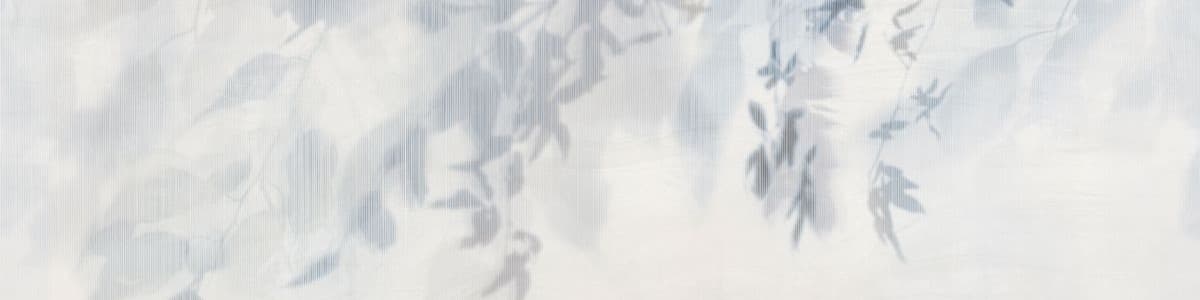User profile banner